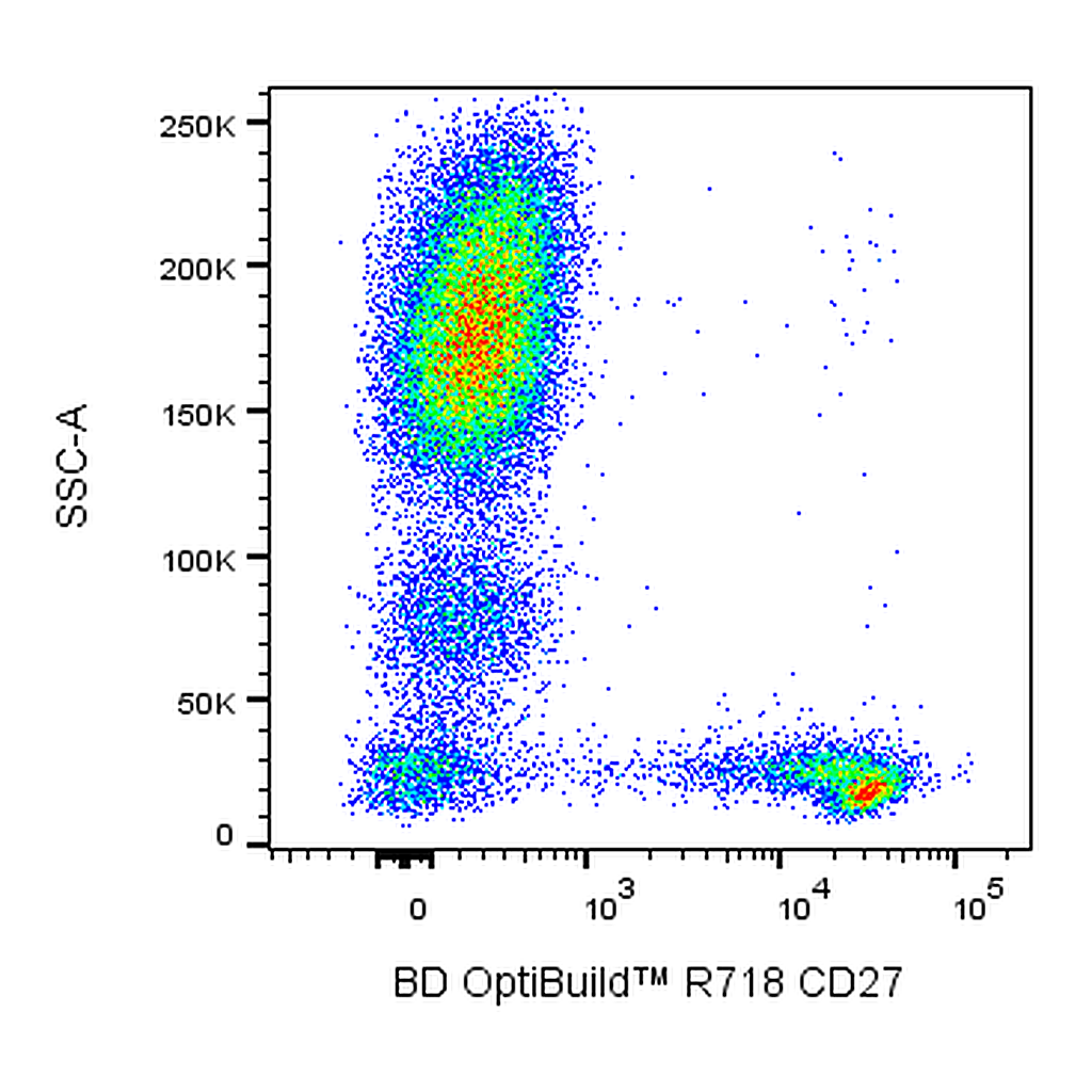 BD R718 Mouse Anti-Human CD27