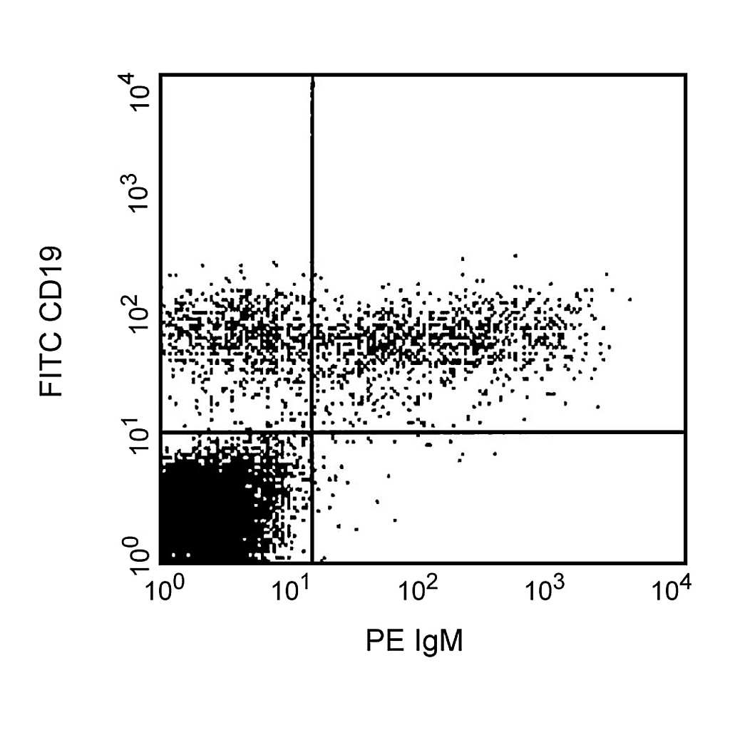 BD PE Mouse Anti-Human IgM