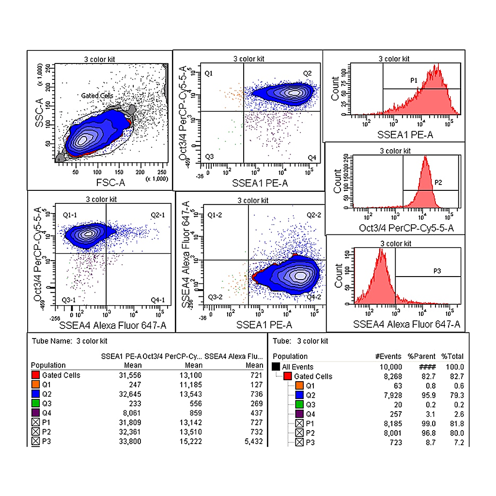 BD Human and Mouse Pluripotent Stem Cell Analysis Kit