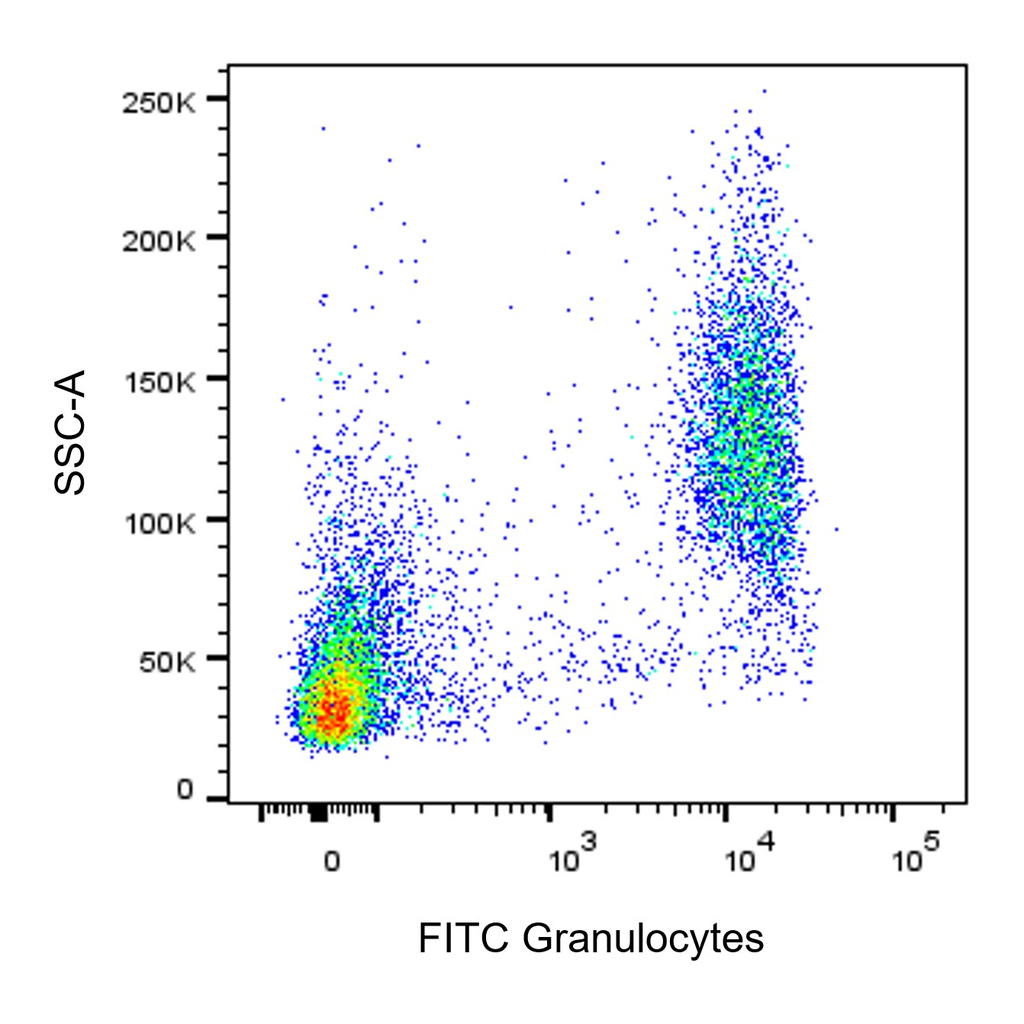 BD FITC Mouse Anti-Rat Granulocytes