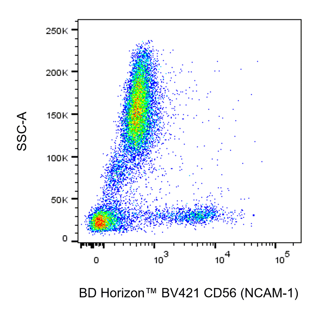 BD BV421 Mouse Anti-Human CD56 (NCAM-1)