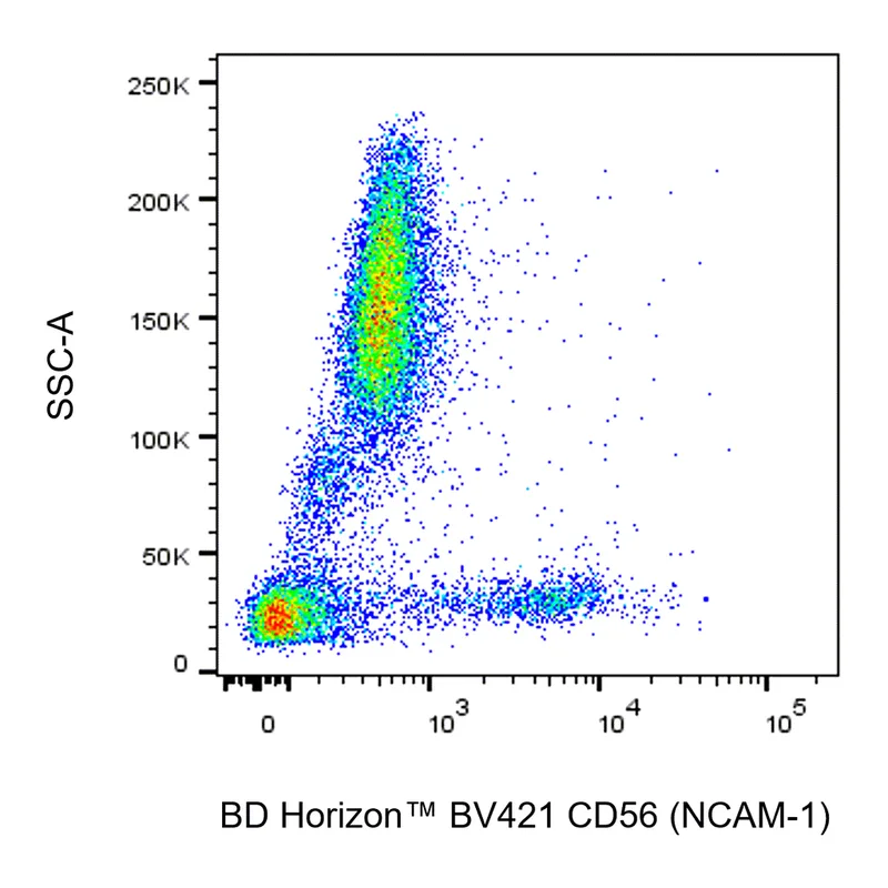 BD BV421 Mouse Anti-Human CD56 (NCAM-1)
