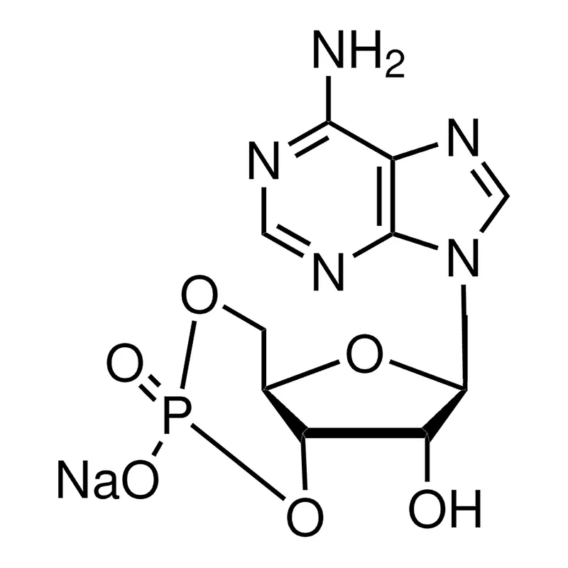 Merck Adenosine 3',5'-cyclic monophosphate sodium salt monohydrate