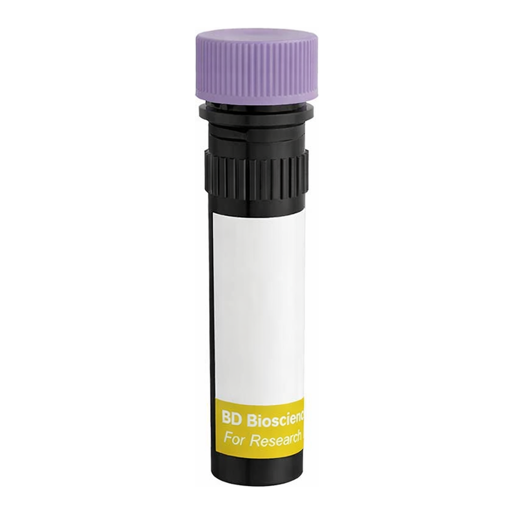 BD RY743 Rat Anti-Mouse IgG1