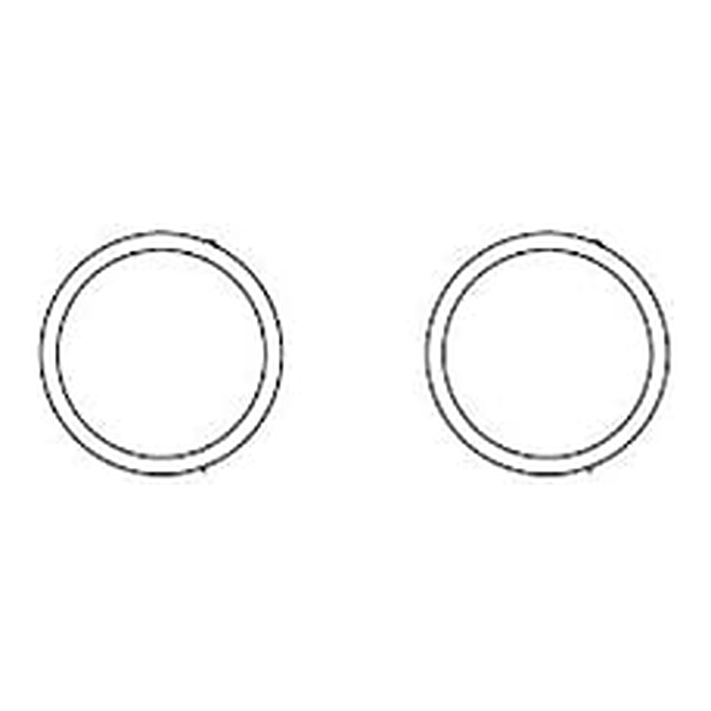 Waters O-Ring, 19 mm ID Prep Guard Holder, 2/pk