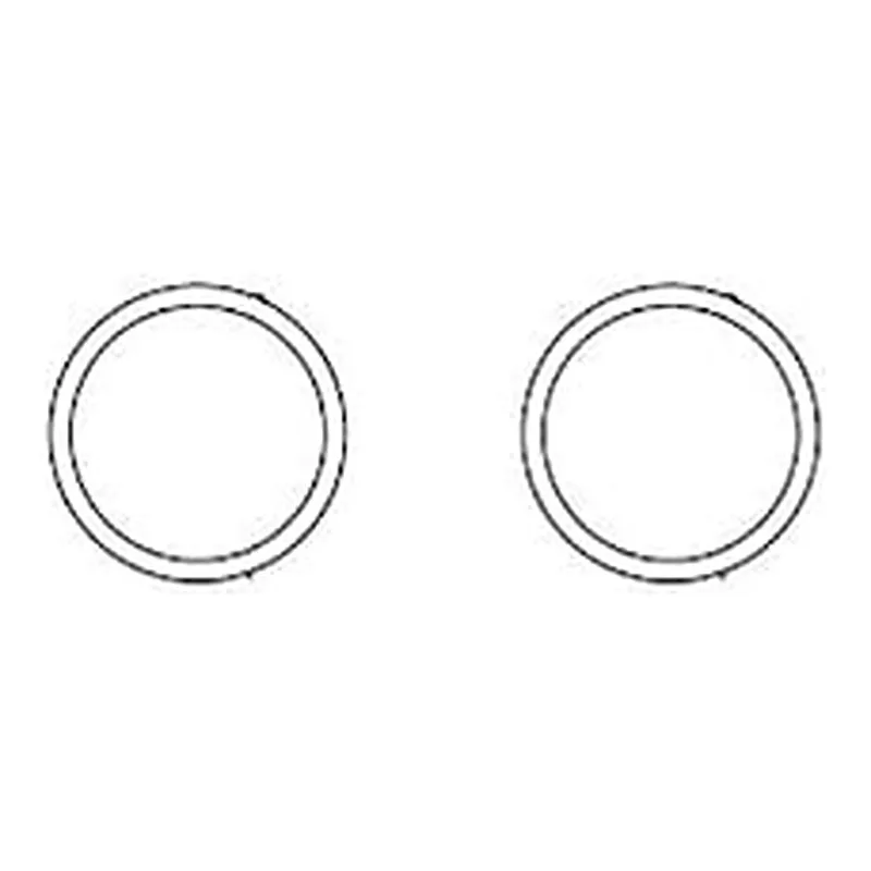 Waters O-Ring, 19 mm ID Prep Guard Holder, 2/pk