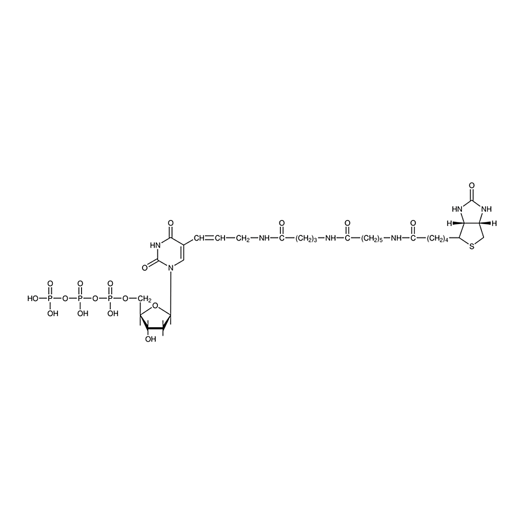 Merck Biotin-16-dUTP