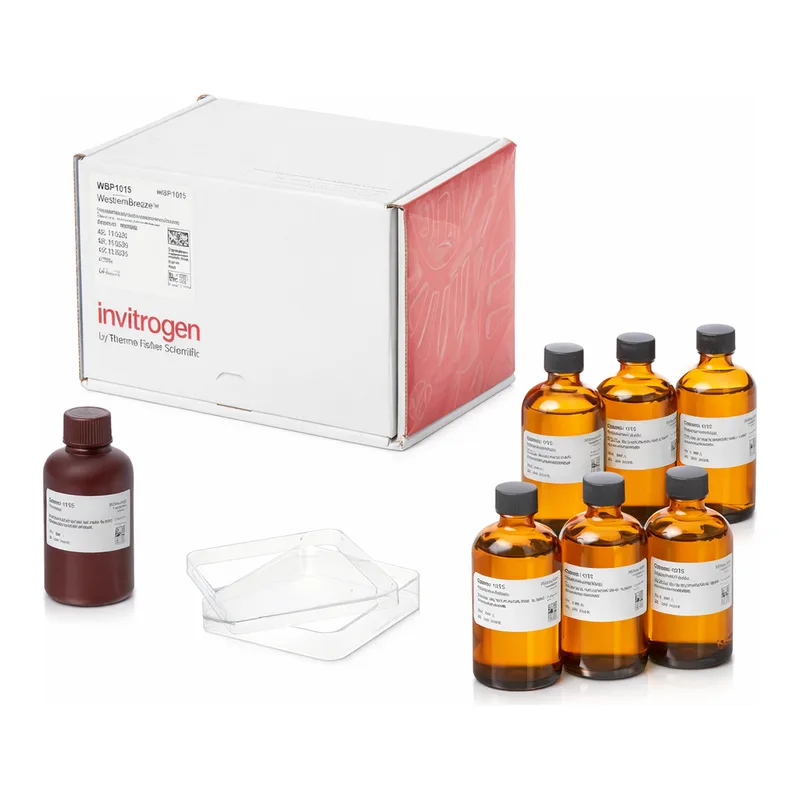 Thermo Fisher Scientific WesternBreeze Chromogenic Kit, anti-rabbit