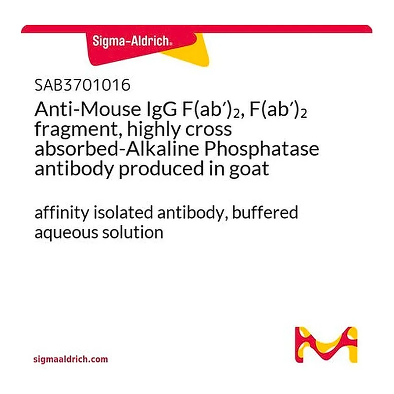 Merck Anti-Mouse IgG F(ab')2, F(ab')2 fragment, highly cross absorbed-Alkaline Phosphatase antibody produced in goat