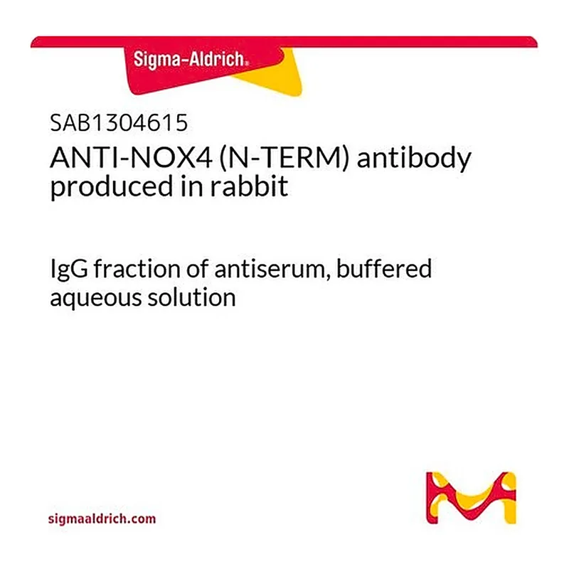 Merck ANTI-NOX4 (N-TERM) antibody produced in rabbit