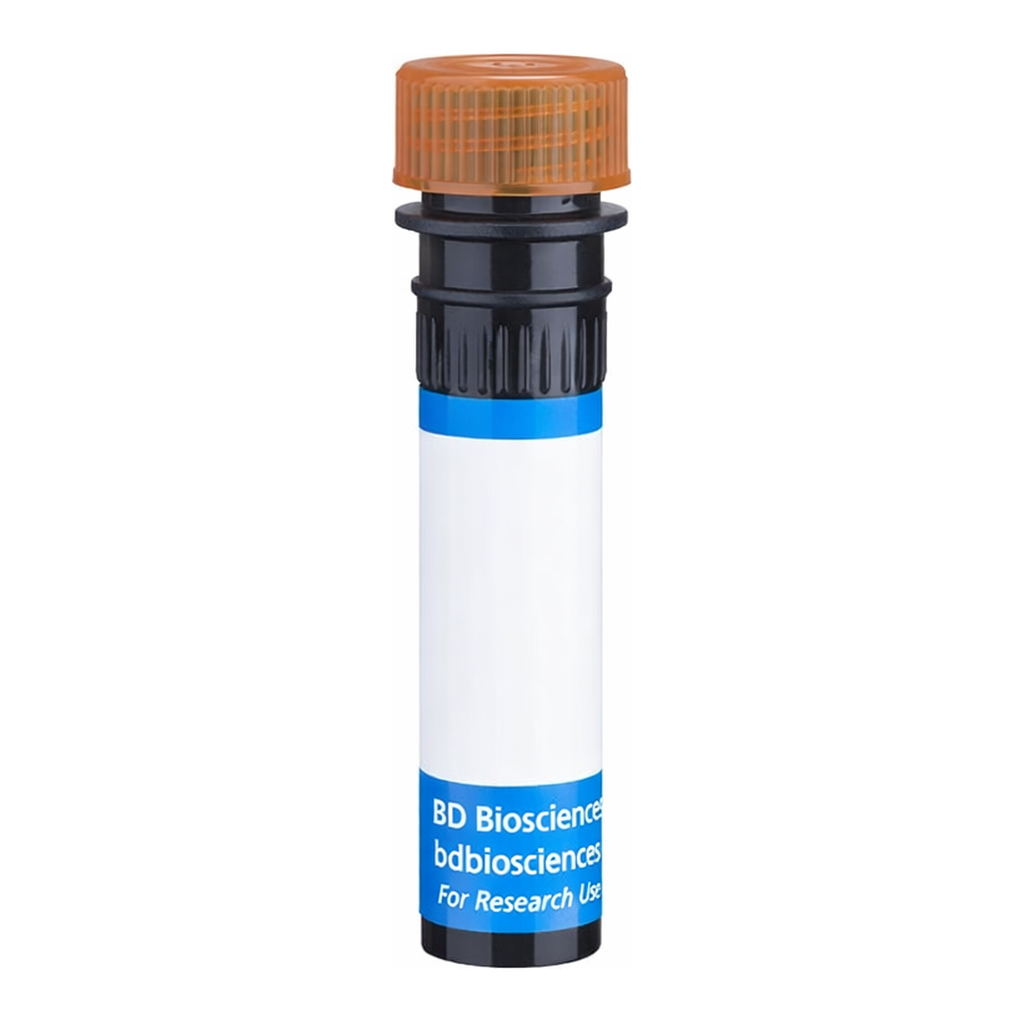 BD RB705 Rat Anti-Human Claudin-1