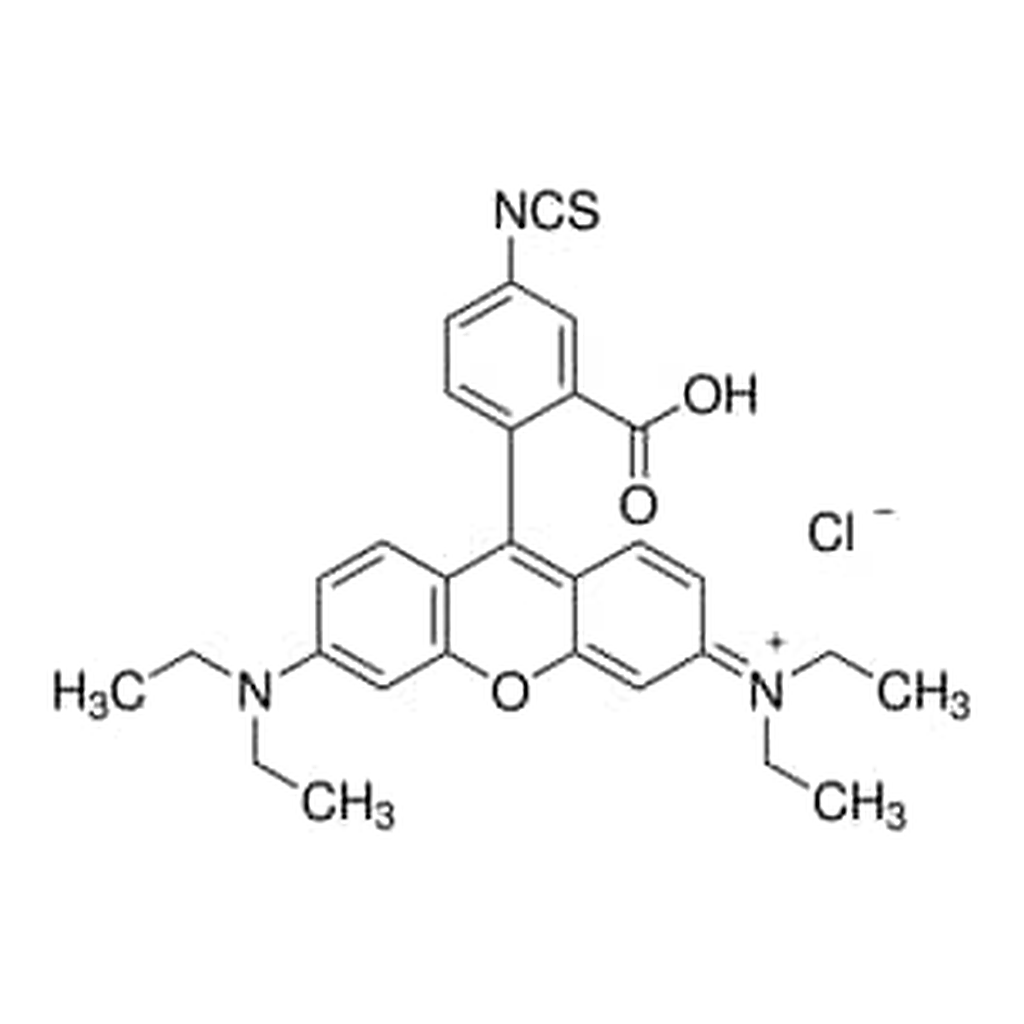 Merck RHODAMINE B ISOTHIOCYANATE, MIXED ISOME&