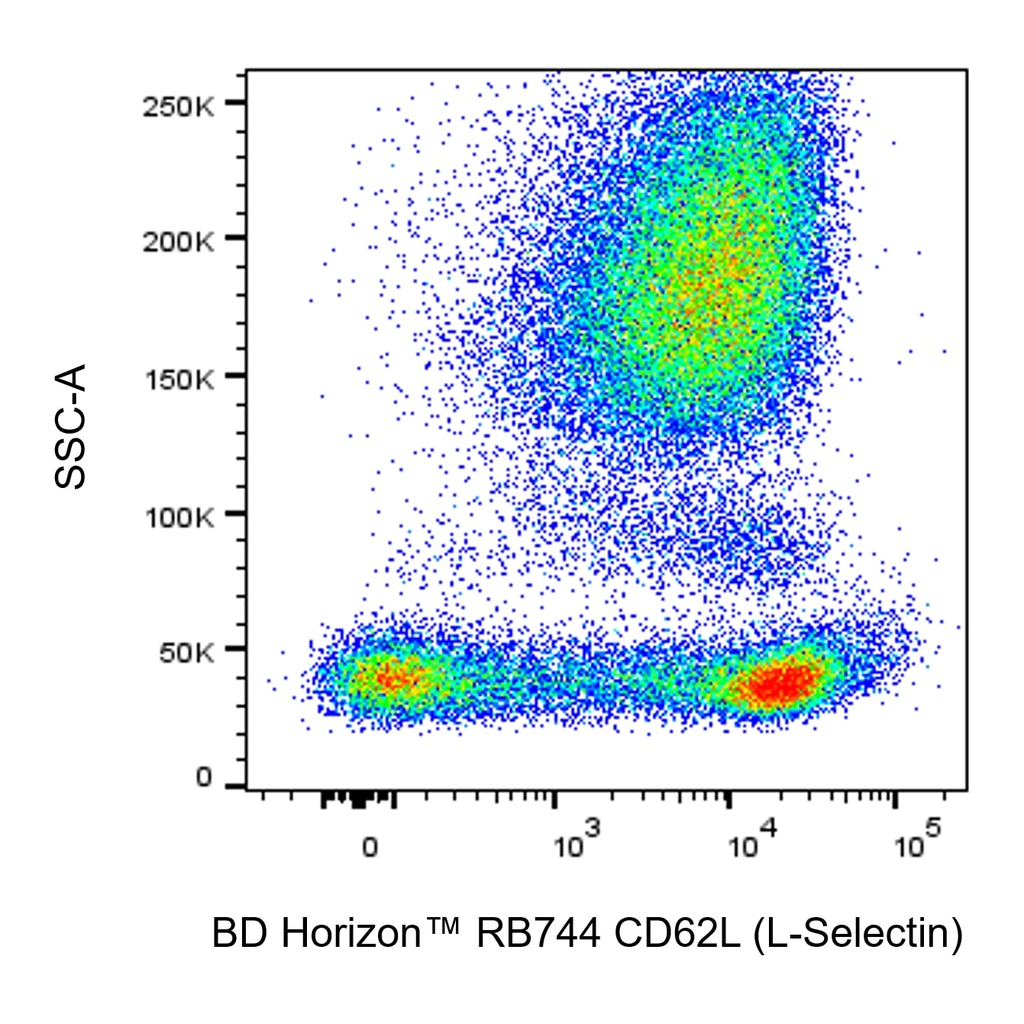 BD RB744 Mouse Anti-Human CD62L (L-Selectin)