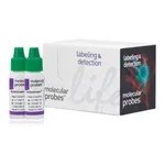 Thermo Fisher Scientific ActinGreen 488 ReadyProbes Reagent (AlexaFluor 488 phalloidin)