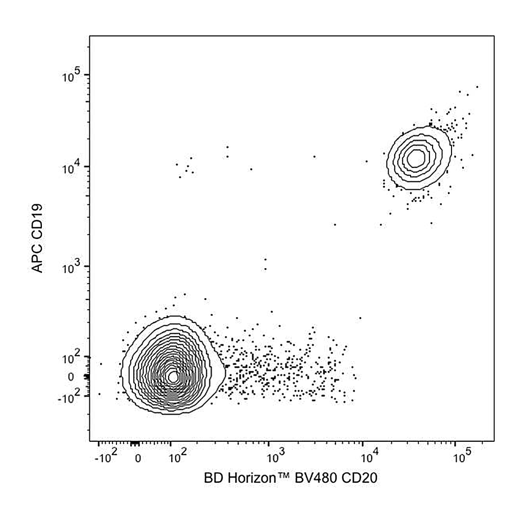 BD BV480 Mouse Anti-Human CD20