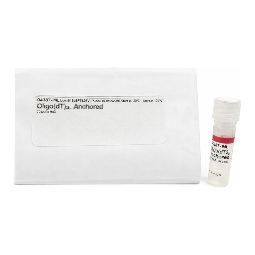 Merck OLIGO DT PRIMERS