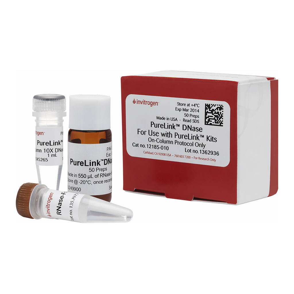 Thermo Fisher Scientific PureLink DNase Set