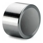 Waters Symmetry Silica C18 Prep Guard Cartridge, 100Å, 5 µm, 19 mm X 10 mm, 1/pk