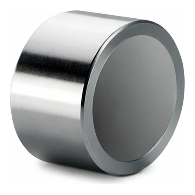 Waters Symmetry Silica C18 Prep Guard Cartridge, 100Å, 5 µm, 19 mm X 10 mm, 1/pk