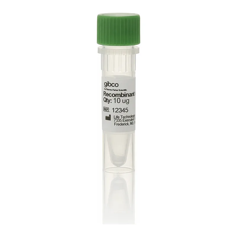Thermo Fisher Scientific LIF Recombinant Mouse Protein, embryonic stem cell-qualified, 10 ug