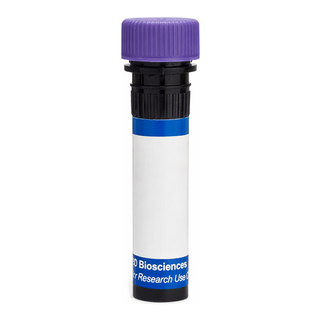 BD RB744 Mouse Anti-Human FcεR1α