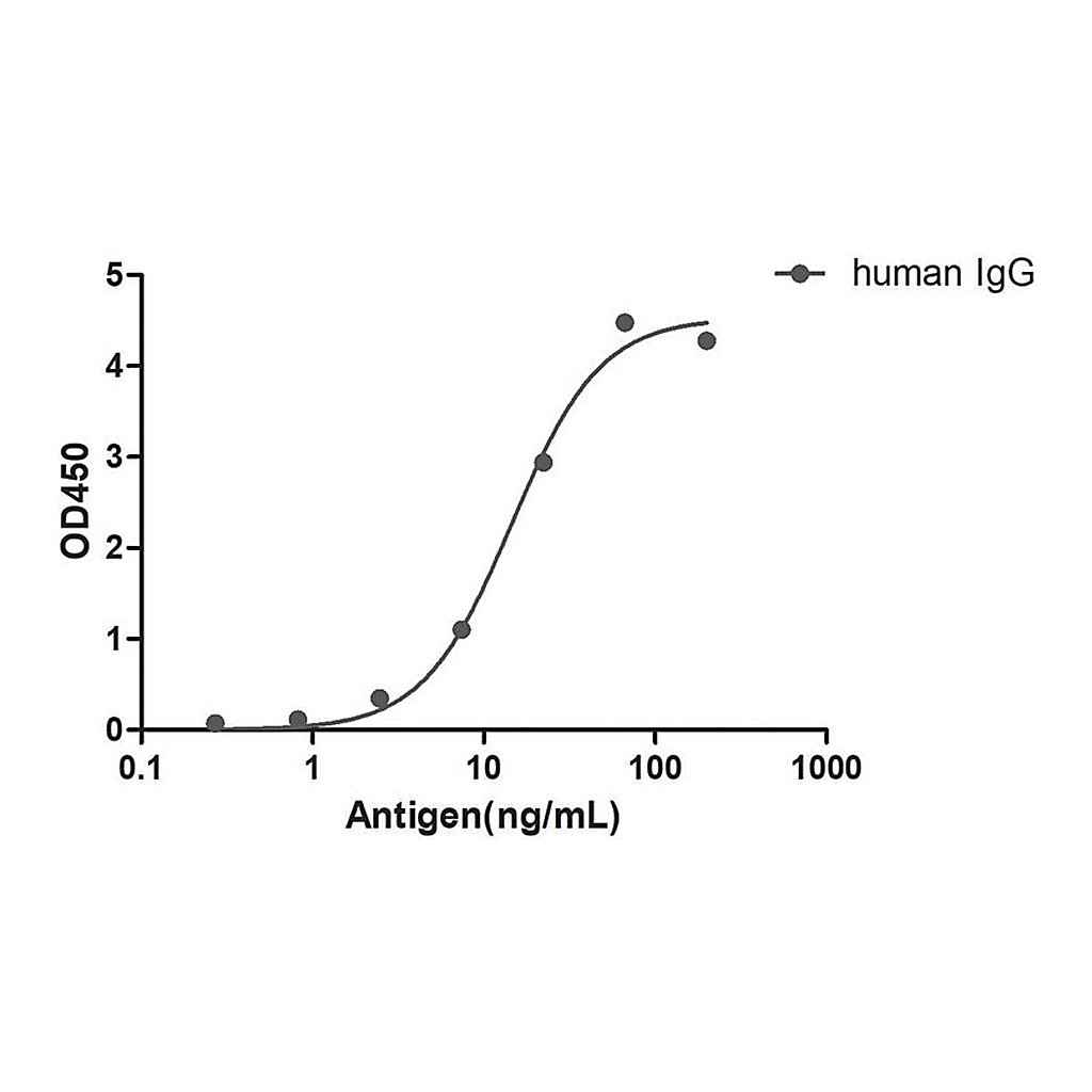 Merck Alpaca Anti-Human IgG(Fcgamma) HRP single domain Antibody