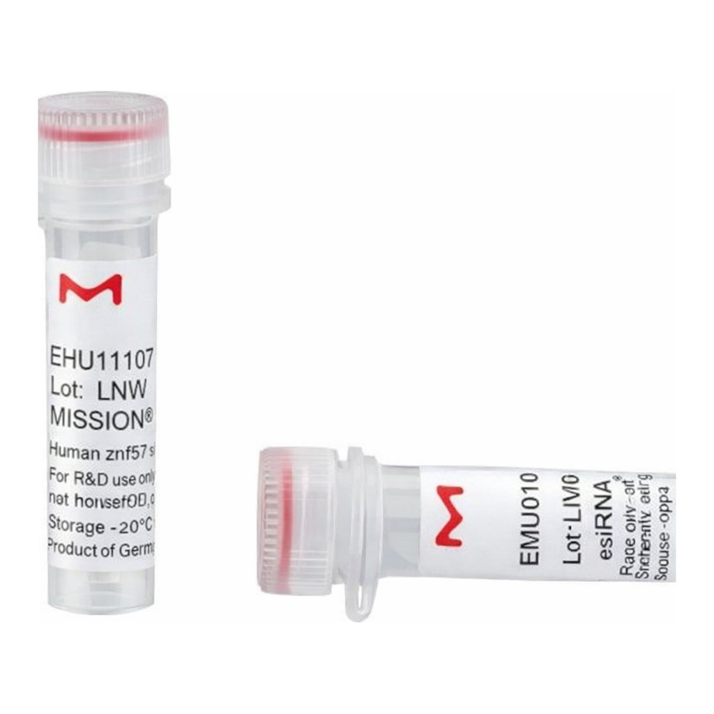 Merck MISSION(R) esiRNA