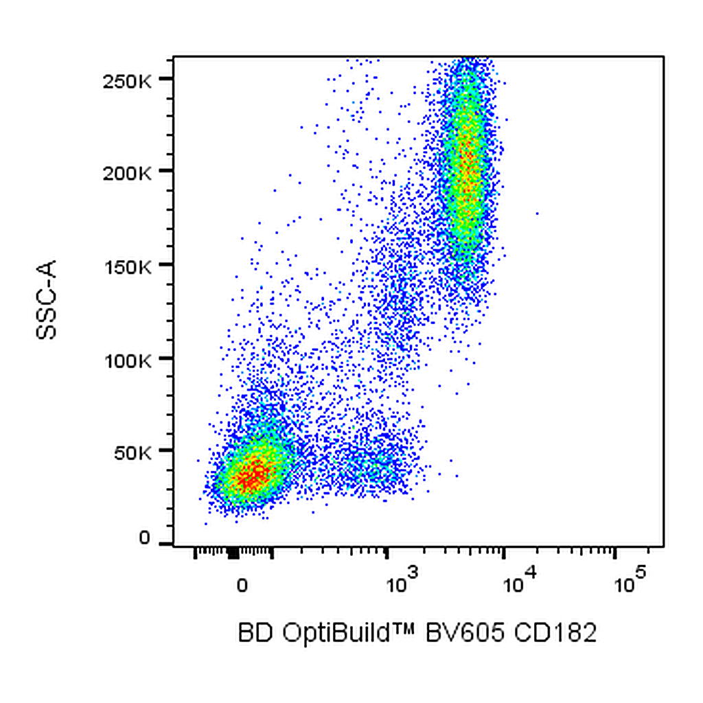 BD BV605 Mouse Anti-Human CD182