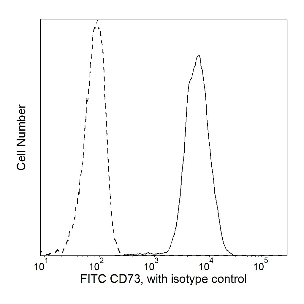 BD FITC Mouse Anti-Human CD73