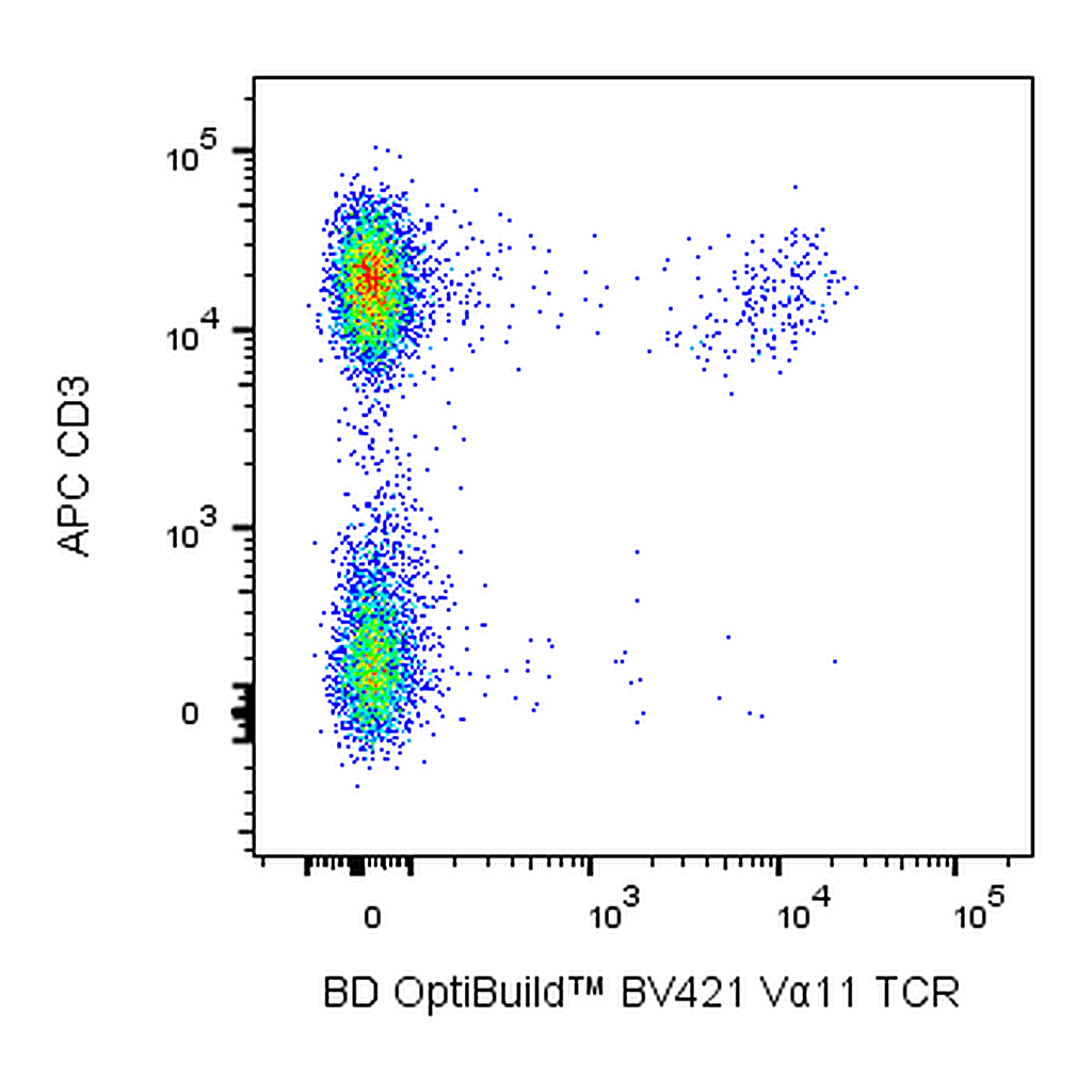 BD BV421 Rat Anti-Mouse Vα 11.1, 11.2[b,d] TCR