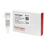 Thermo Fisher Scientific TrueCut HiFi Cas9 Protein (5 ug/μL), 100 ug