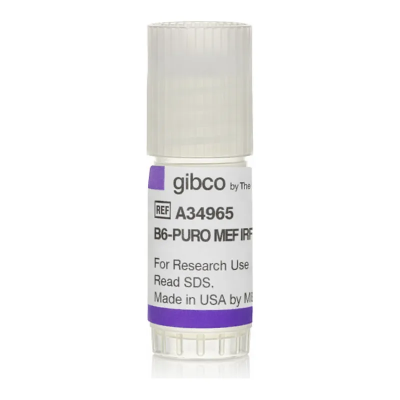 Thermo Fisher Scientific B6-Puro Mouse Embryonic Fibroblasts, irradiated