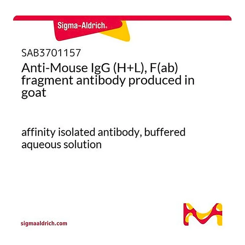 Merck Anti-Mouse IgG (H+L), F(ab) fragment antibody produced in goat