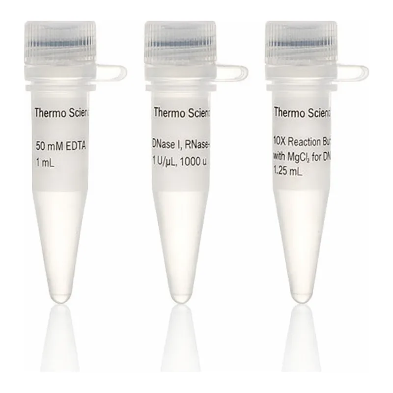Thermo Fisher Scientific DNase I, RNase-free (1 U/μL)