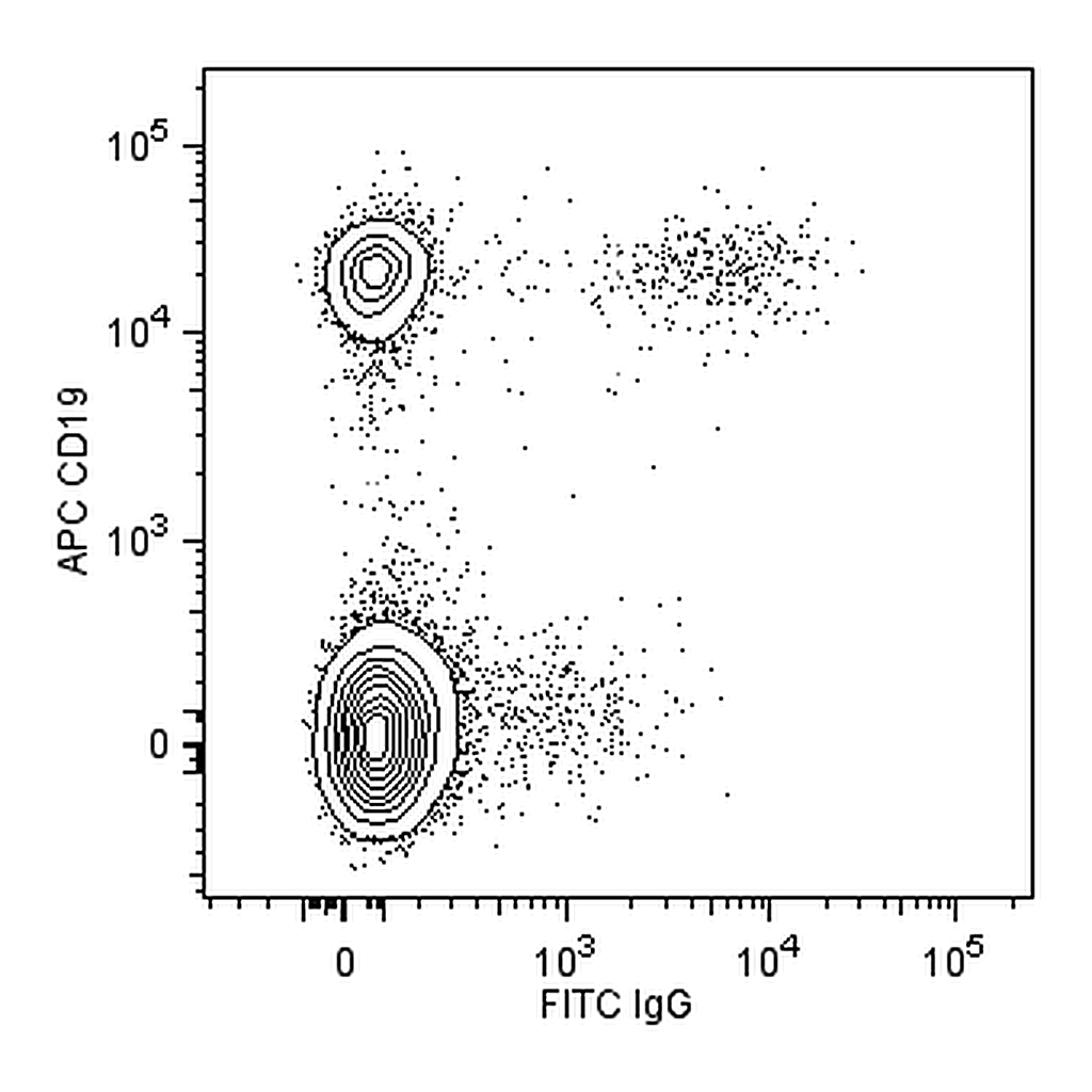 BD BB515 Mouse Anti-Human IgG