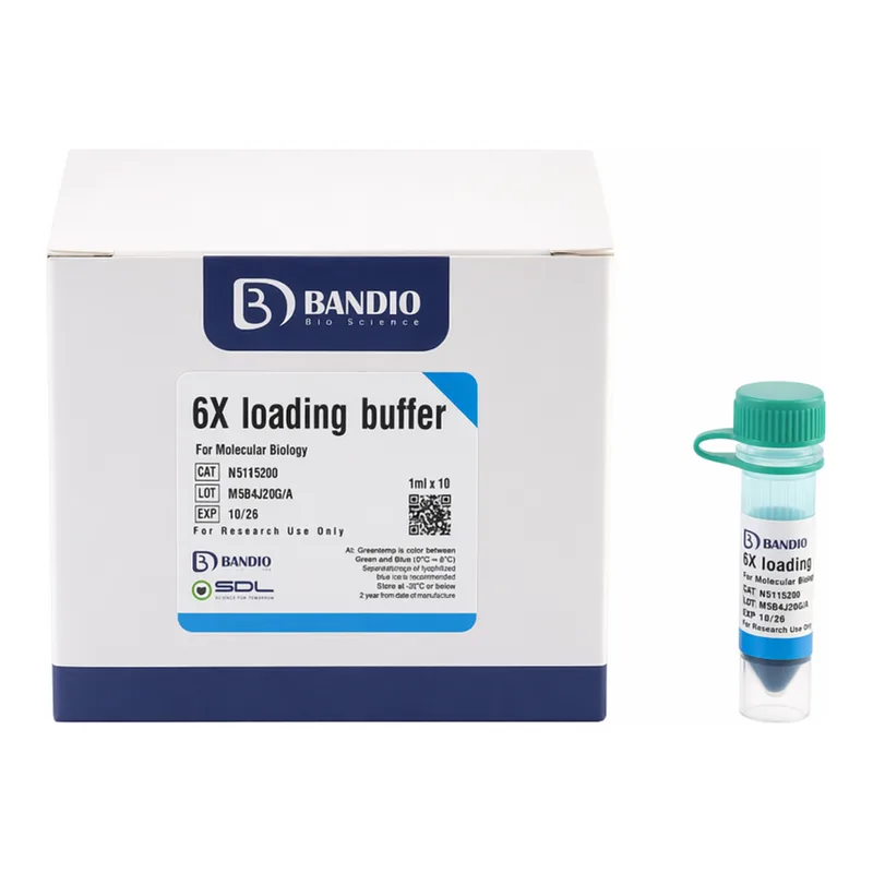 BANDIO 6X Loading buffer
