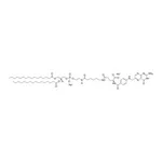 Merck 16:0 FOLATE CAP PE