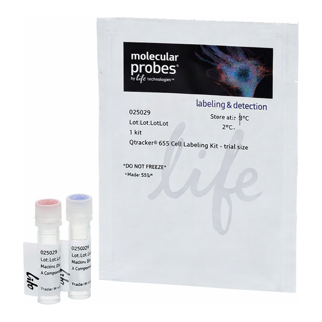 Thermo Fisher Scientific Qtracker 655 Cell Labeling Kit (Trial Size)