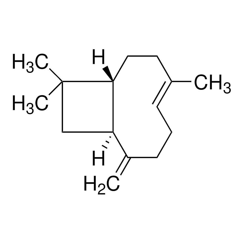 Merck beta-Caryophyllene