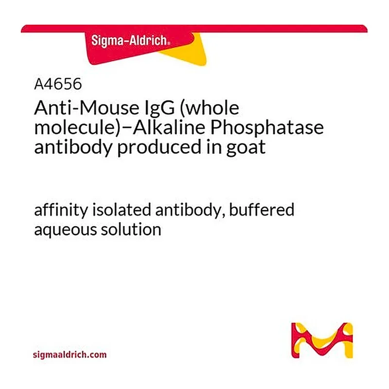 Merck Anti-Mouse IgG (whole molecule)-Alkaline Phosphatase antibody produced in goat