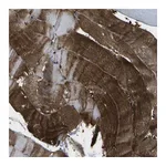 Atlas Antibodies Anti-SORBS3 Antibody