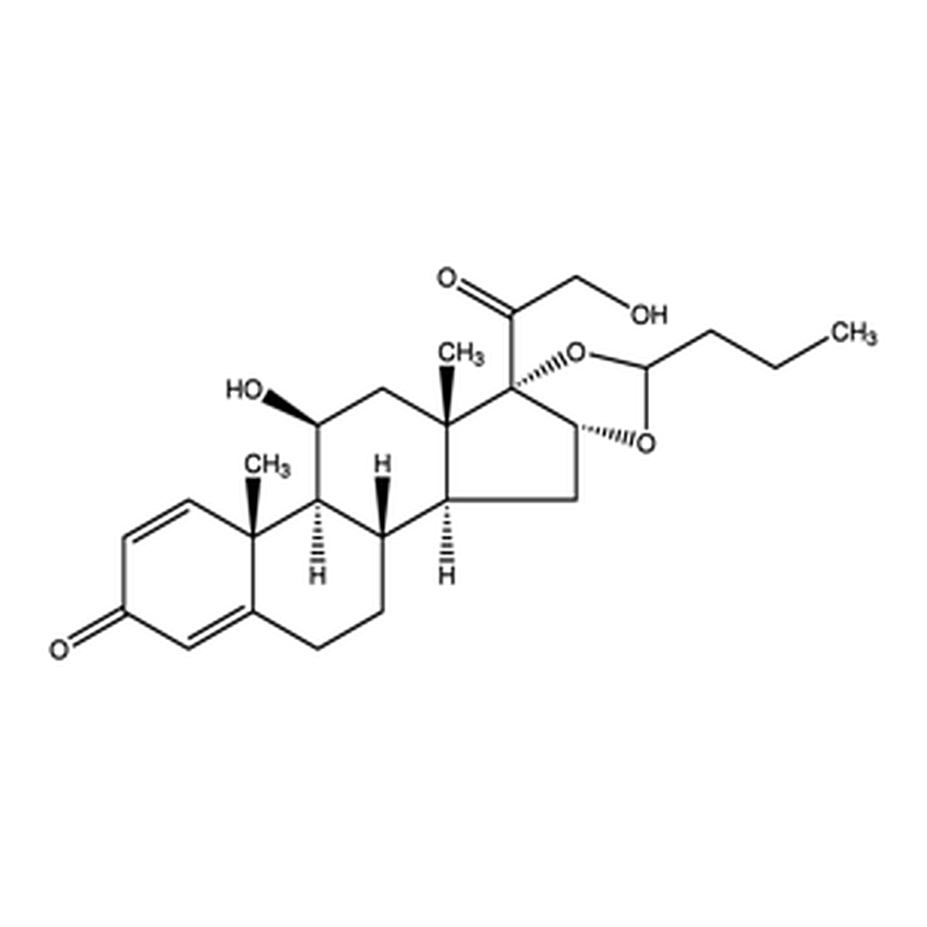 Merck BUDESONIDE