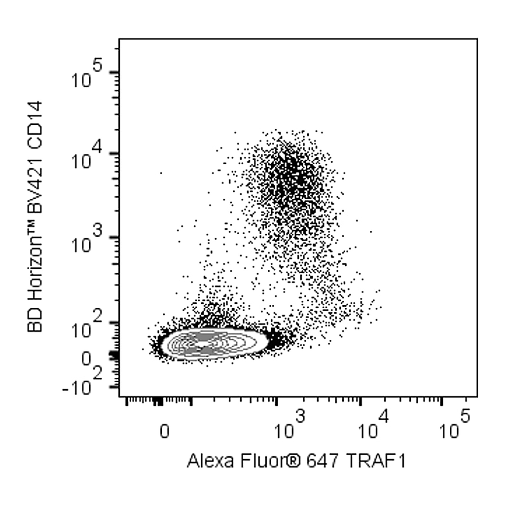 BD Alexa Fluor® 647 Rat Anti-Human TRAF1