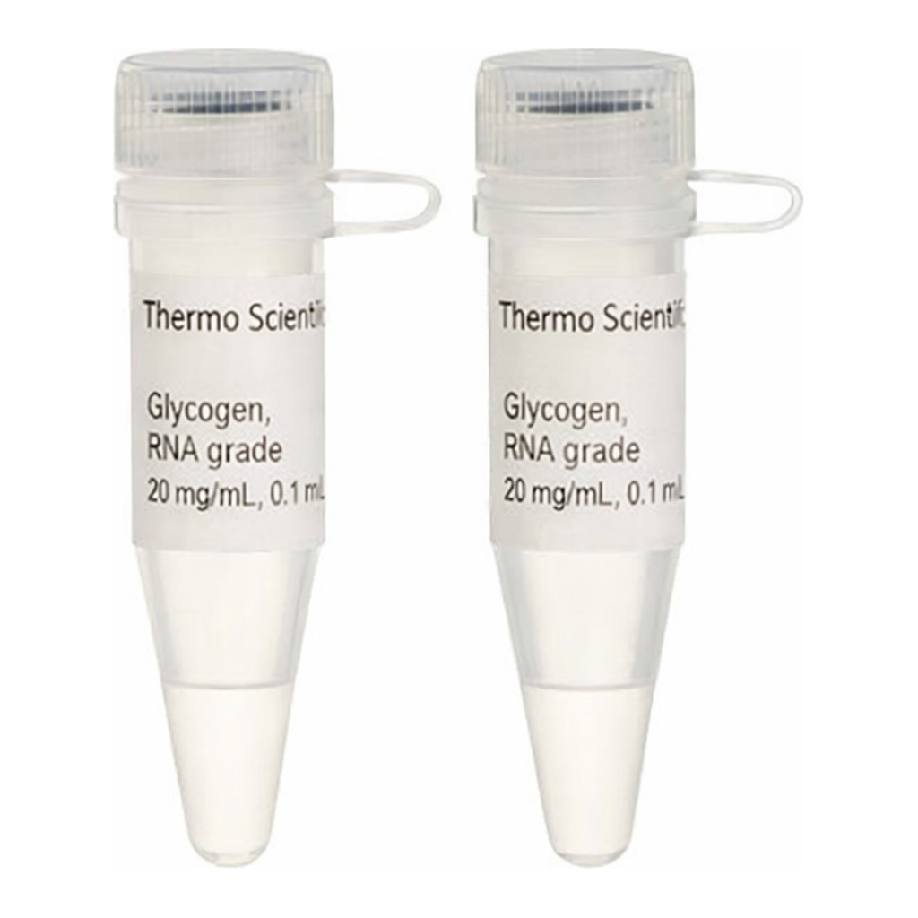 Thermo Fisher Scientific Glycogen, RNA grade