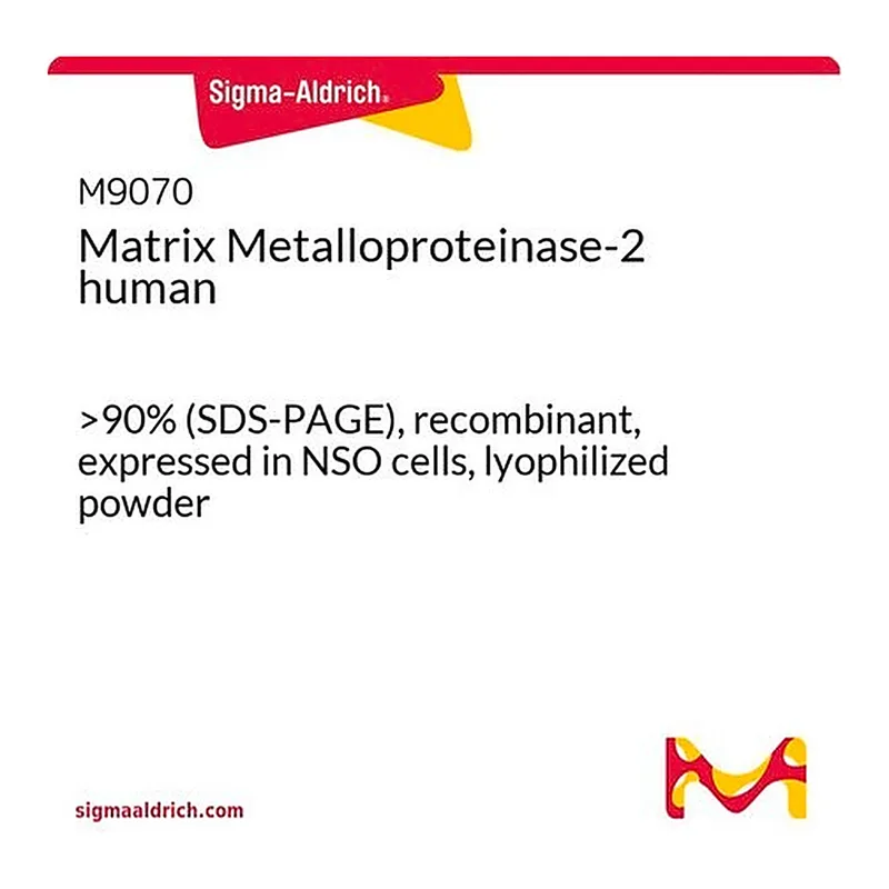 Merck Matrix Metalloproteinase-2 human
