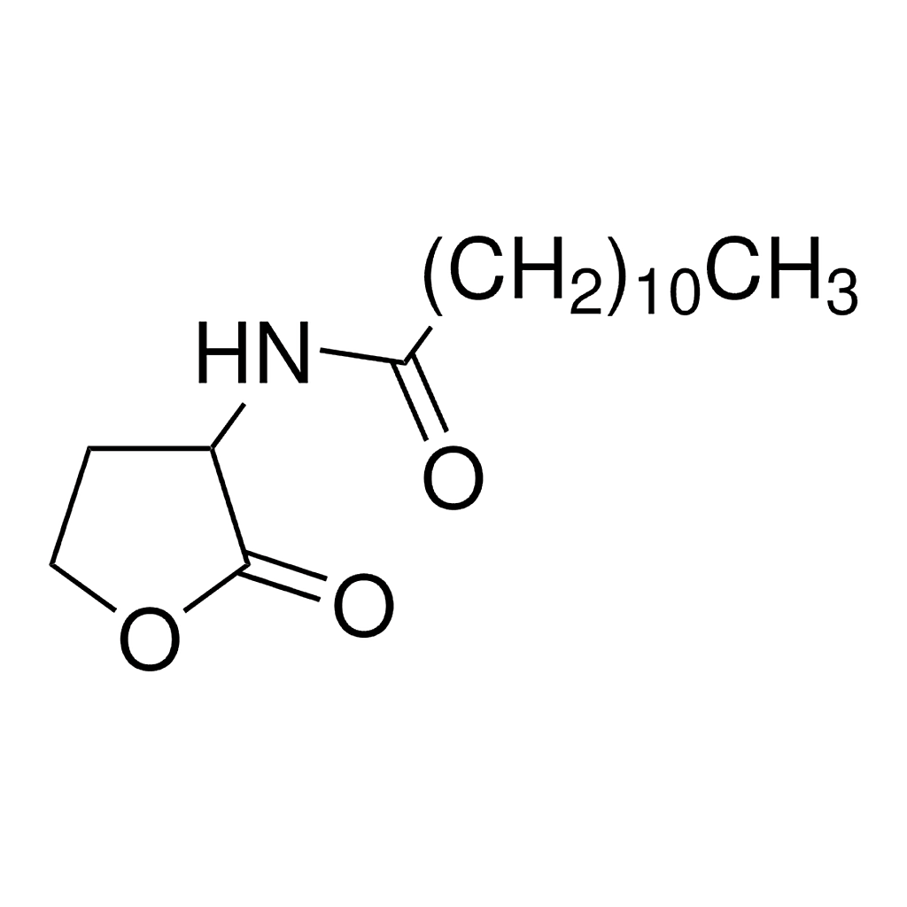 Merck N-Dodecanoyl-DL-homoserine lactone