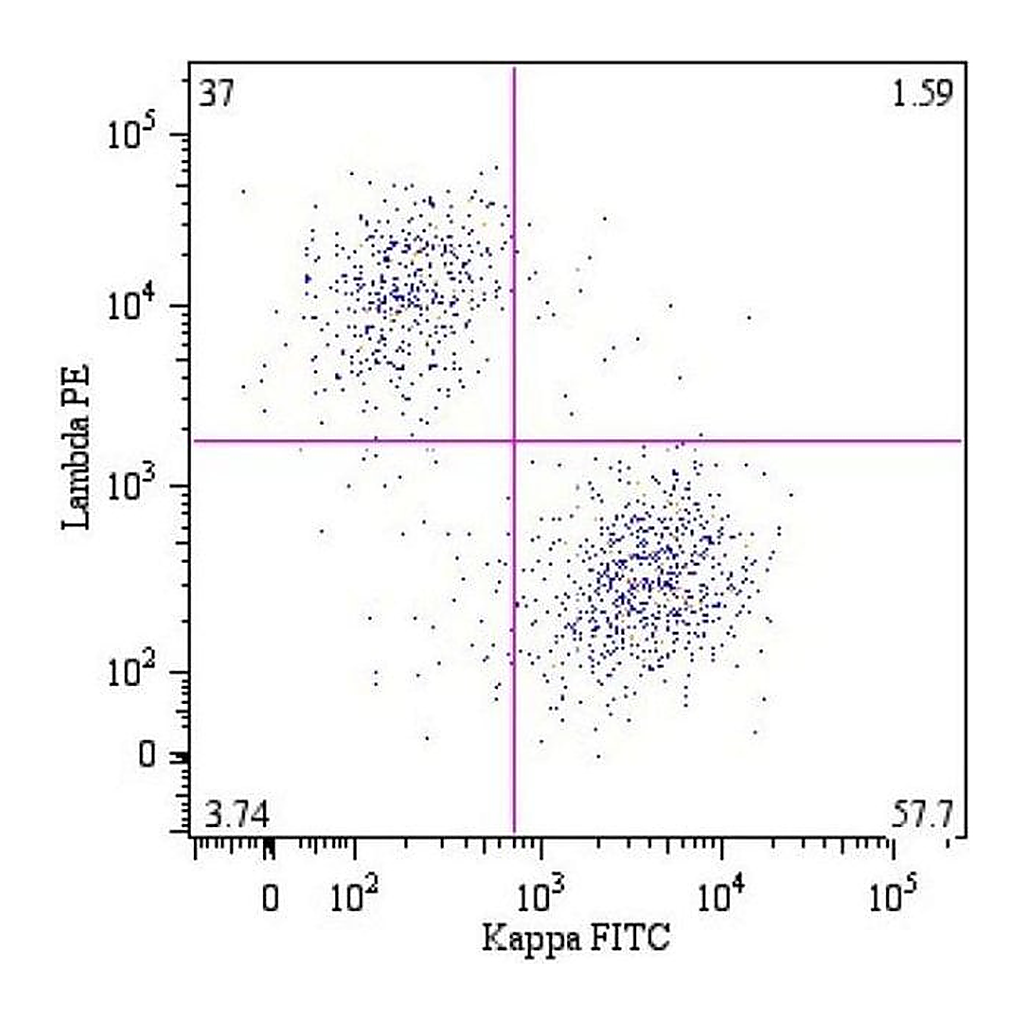 Thermo Fisher Scientific Mouse anti-Human Lambda Light Chain Secondary Antibody, PE