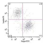 Thermo Fisher Scientific Mouse anti-Human Lambda Light Chain Secondary Antibody, PE