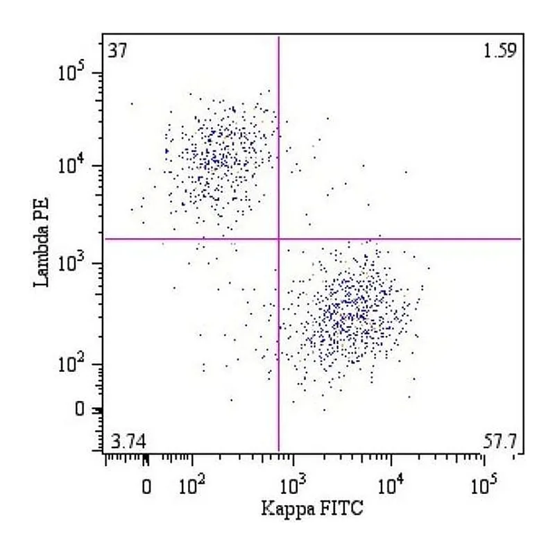 Thermo Fisher Scientific Mouse anti-Human Lambda Light Chain Secondary Antibody, PE