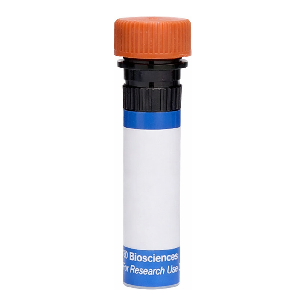BD RB613 Mouse Anti-Human CD71 (Transferrin Receptor)